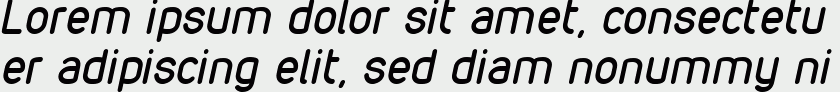 VDS Italic