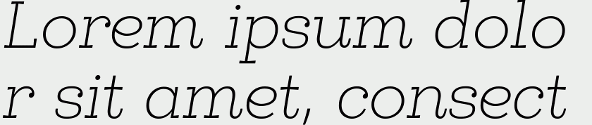 Egalite Thin Italic