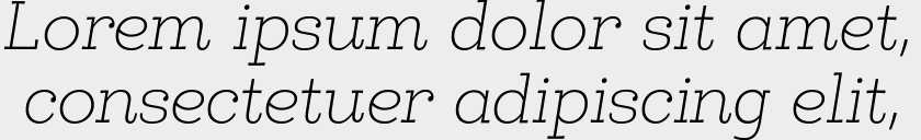 Egalite Thin Italic