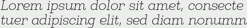 Egalite Thin Italic