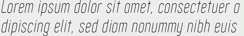 Zoo300 Thin Italic.zip