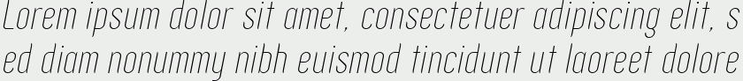 Zoo300 Thin Italic.zip