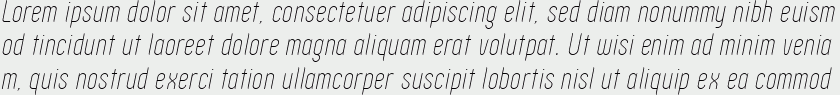 Zoo300 Thin Italic.zip