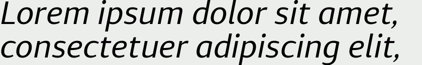 Diaria Sans Pro Italic