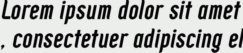 Zoo300 Bold Italic