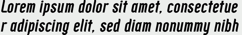 Zoo300 Bold Italic