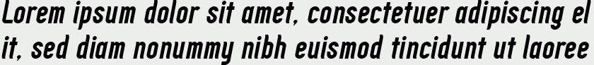 Zoo300 Bold Italic