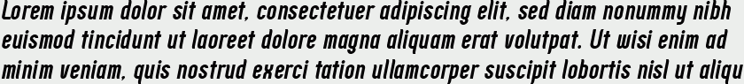 Zoo300 Bold Italic