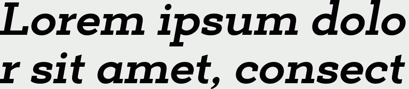 Deposit Pro Bold Italic