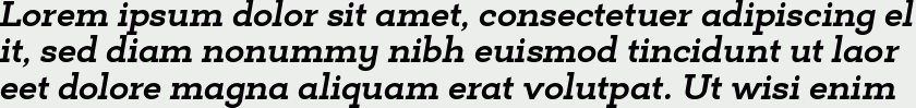 Deposit Pro Bold Italic