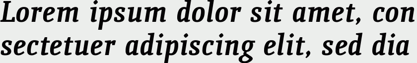 Quiroga Serif Bold Italic