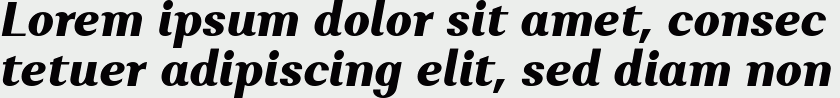 Alethia Pro ExtraBold Italic