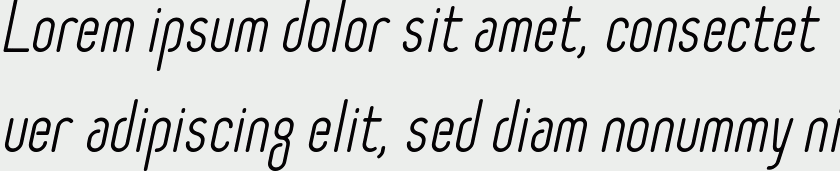 Selecta italic