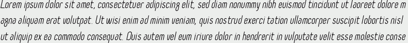 Selecta italic