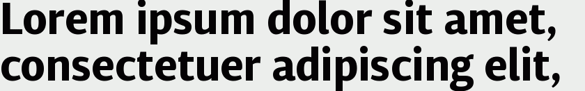 Diaria Sans Pro Bold