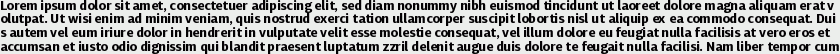 Diaria Sans Pro Bold