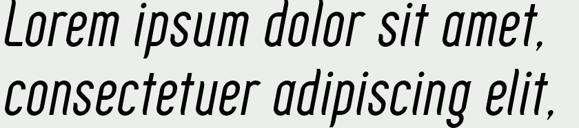 Zoo300 Italic