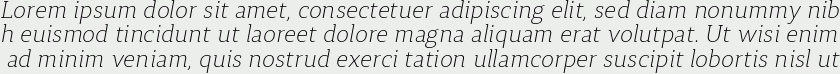 Synerga Pro ExtraLight Italic