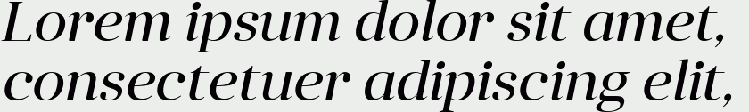 Anglecia Pro Display Italic