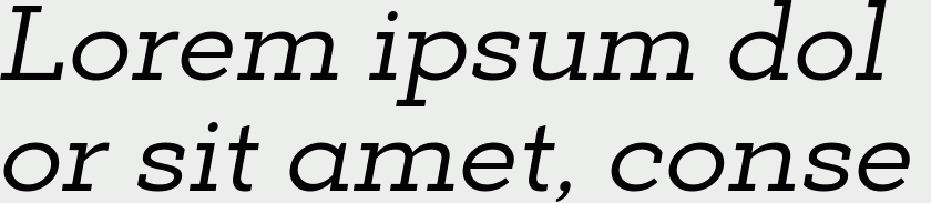 Deposit Pro Italic