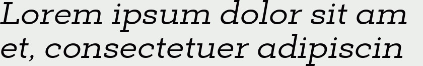 Deposit Pro Italic