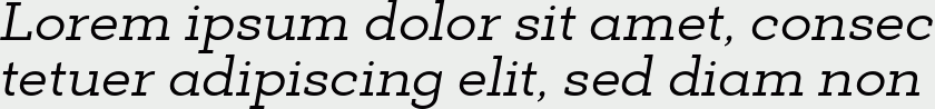 Deposit Pro Italic