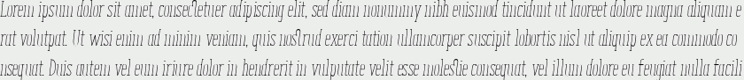 ENYO Slab Light Italic