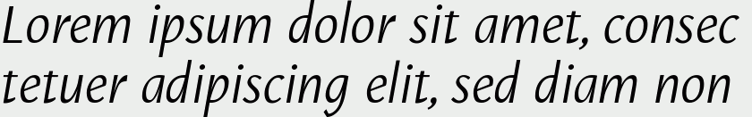 Puenta Sans Italic