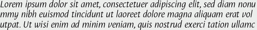 Puenta Sans Italic