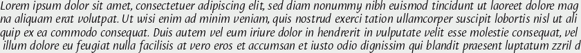 Puenta Sans Italic