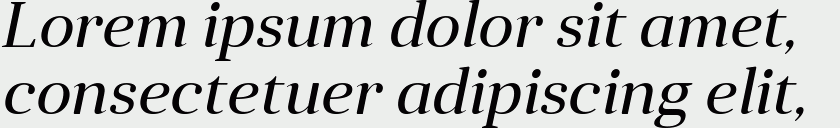 Anglecia Pro Title Italic