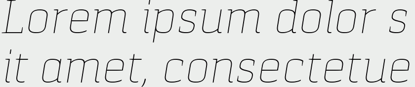 Pancetta Serif Pro Thin Italic