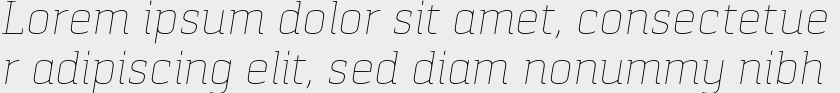 Pancetta Serif Pro Thin Italic