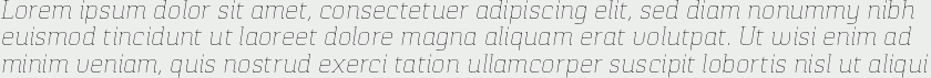 Pancetta Serif Pro Thin Italic