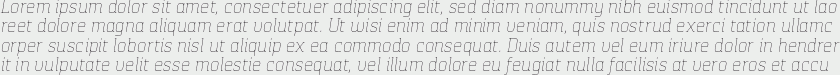 Pancetta Serif Pro Thin Italic