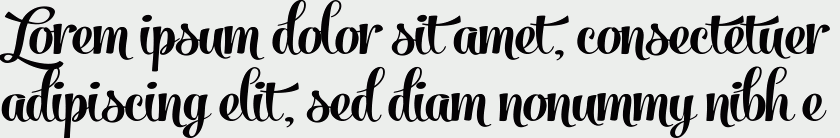 Salamander Script Bold