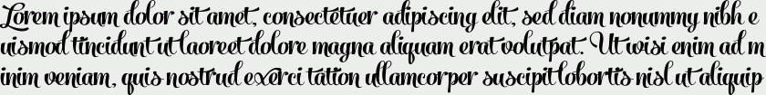 Salamander Script Bold