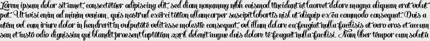 Salamander Script Bold