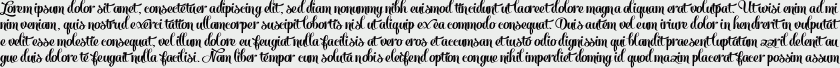 Salamander Script Bold