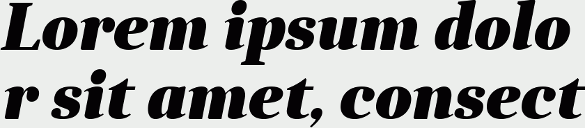 Anglecia Pro Title Black Italic