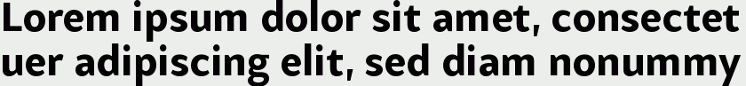 Samo Sans Pro Bold