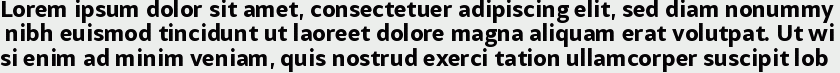 Samo Sans Pro Bold