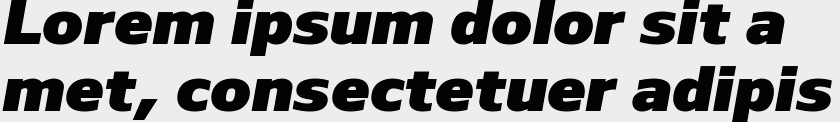 Nauman Black Italic