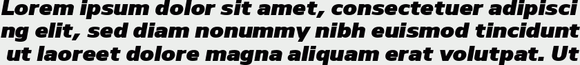 Nauman Black Italic