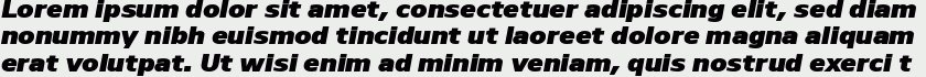 Nauman Black Italic