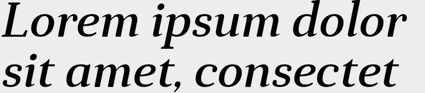 Anglecia Pro Text Medium Italic