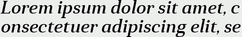 Anglecia Pro Text Medium Italic