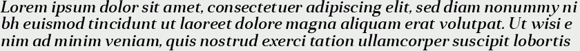 Anglecia Pro Text Medium Italic