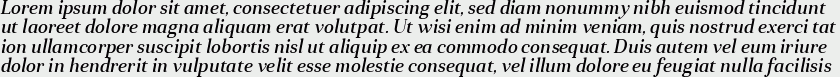 Anglecia Pro Text Medium Italic