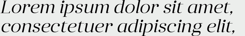 Anglecia Pro Display Light Italic